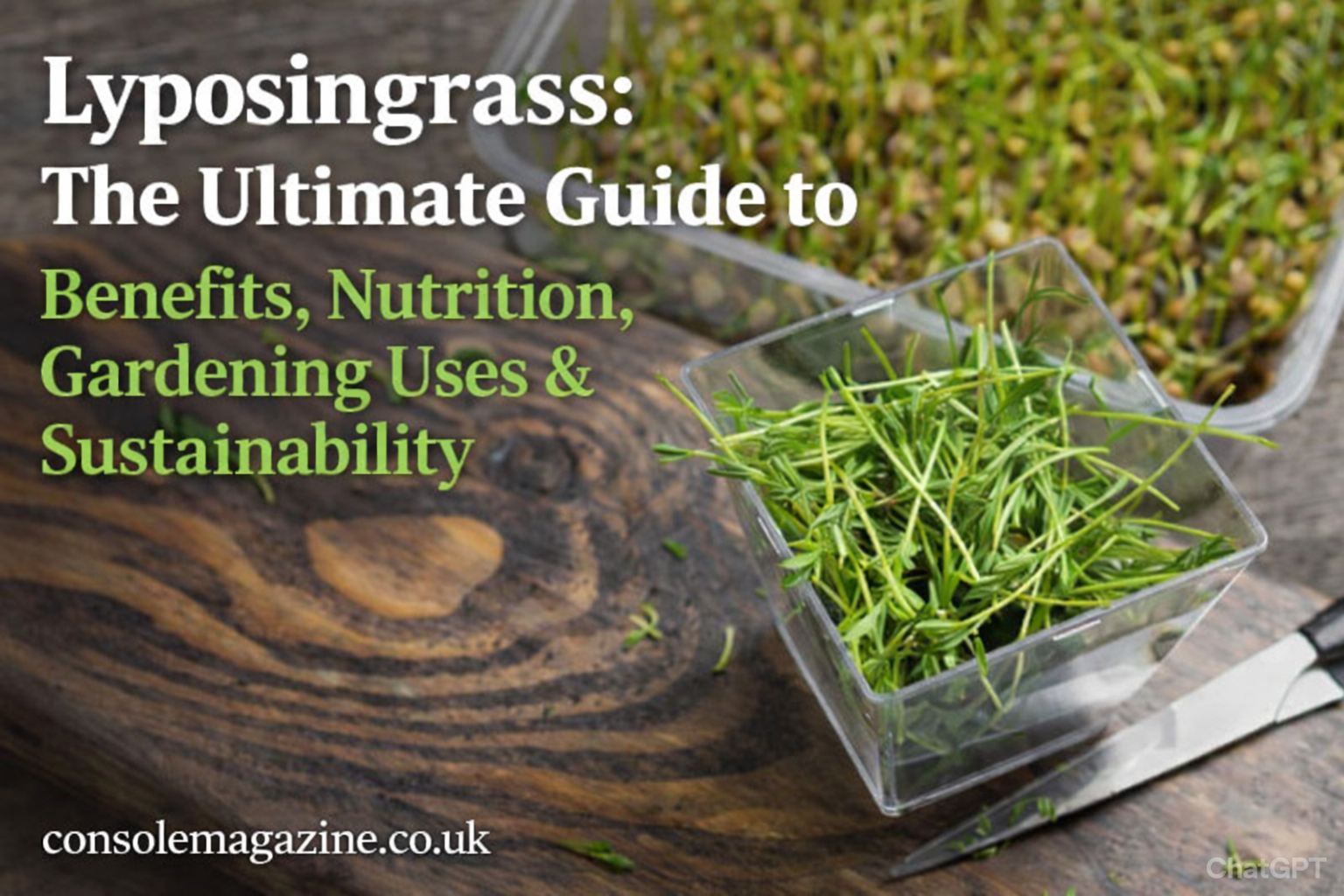 Lyposingrass: The Ultimate Guide to Benefits, Nutrition, Gardening Uses & Sustainability
