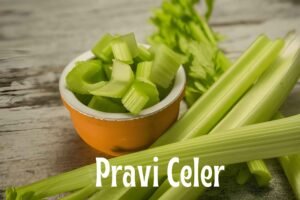 Pravi Celer: The Ultimate Guide to True Celery, Health Benefits & Recipes